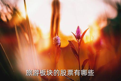 旅游板块的股票有哪些