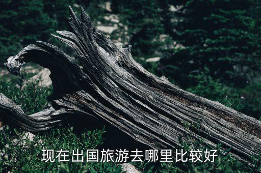 现在出国旅游去哪里比较好