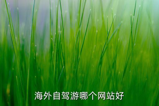 海外自驾游哪个网站好