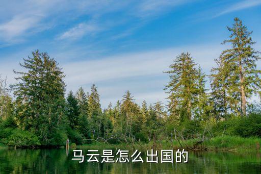马云是怎么出国的