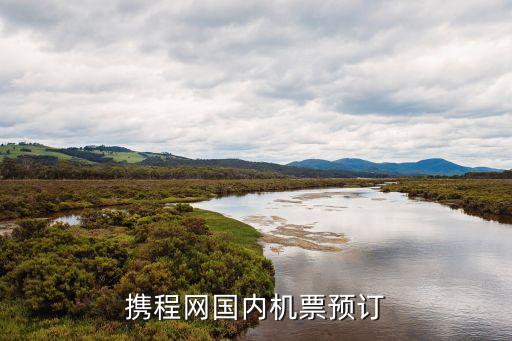 携程机票网上订票官网app，携程网特价机票预订