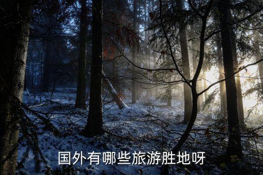 国外有哪些旅游胜地呀