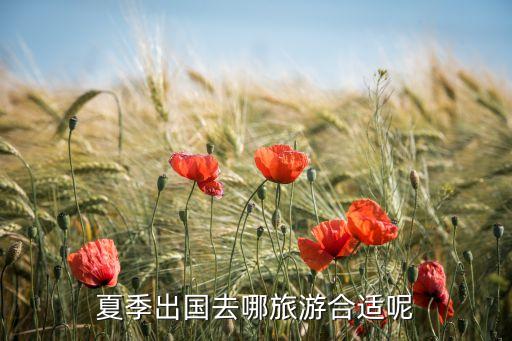 夏天国外旅游去哪里玩，夏季出国旅游推荐