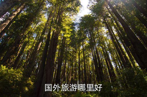 国外旅游哪里好