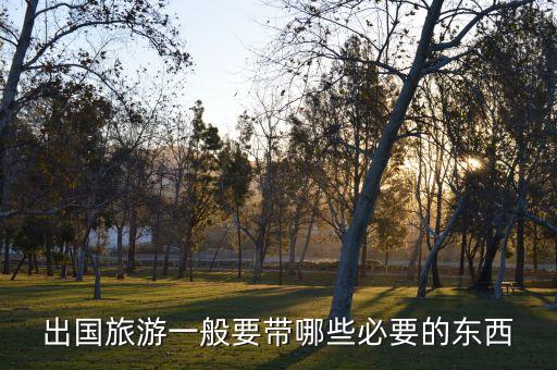 去国外旅游要带好什么，出国旅行必备物品