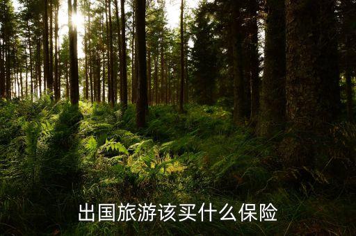 出国旅游该买什么保险