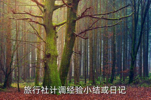 旅行社计调经验小结或日记