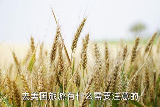 去国外旅游忌讳什么，去美国旅游有什么需要注意的