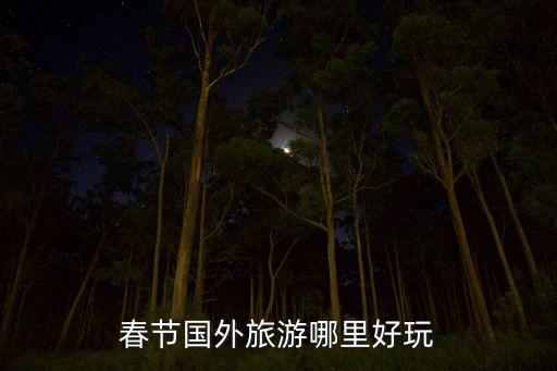 旅游国外哪里好玩1月，12月份到国外去旅游哪个国家好
