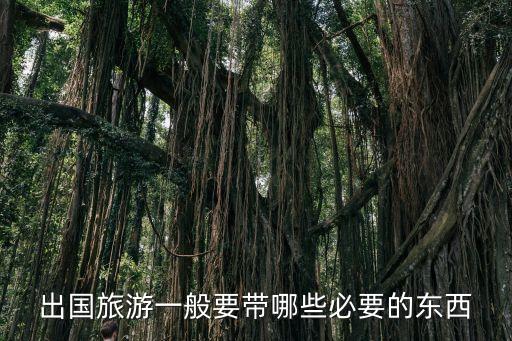 出国旅游一般要带哪些必要的东西