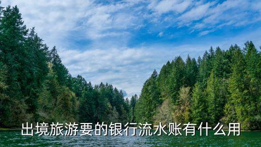 出境旅游要的银行流水账有什么用