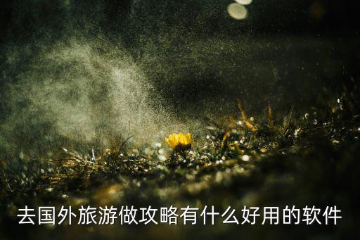国外旅游有什么app可以找攻略，去国外旅游做攻略有什么好用的软件