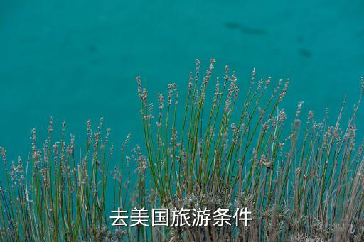 去美国旅游条件