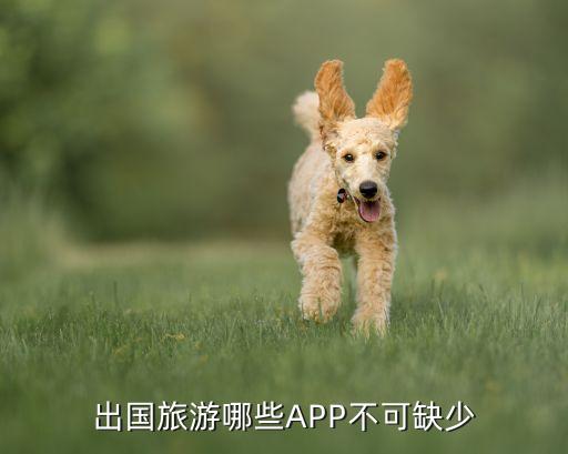 旅游国外app叫什么，靠谱的境外出游APP是什么