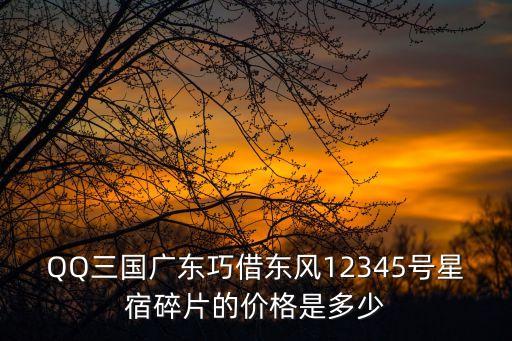 广东绿通新能源电动车价格，QQ三国广东巧借东风12345号星宿碎片的价格是多少