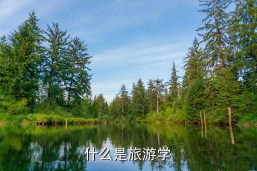 什么是旅游学