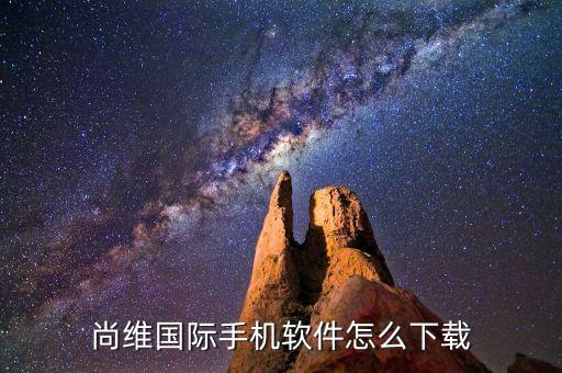 尚维国际手机软件怎么下载
