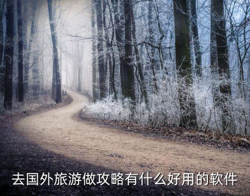 去国外旅游做攻略有什么好用的软件