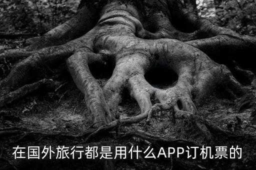 国外旅游用什么软件订票，在国外旅行都是用什么APP订机票的