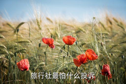 旅行社最怕什么投诉