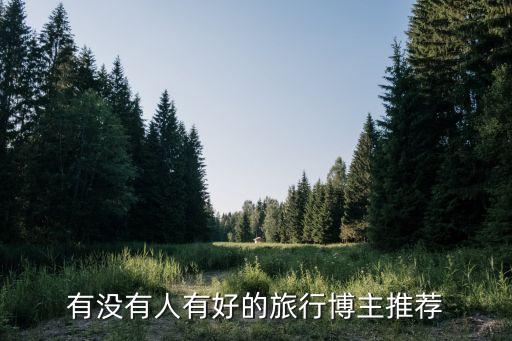 旅游博主 国外叫什么来着，吴强伟的美国名字是什么求准确