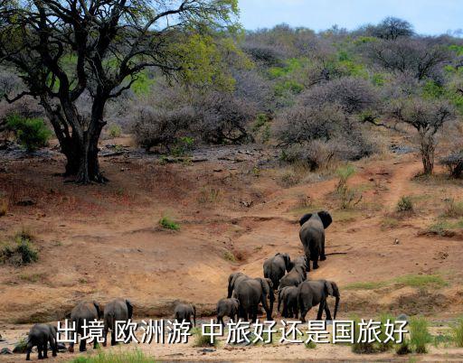 出境 欧洲游 中旅好还是国旅好