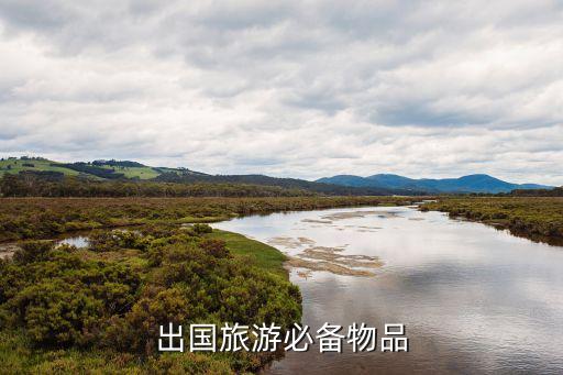 国外长途旅游需要准备什么，出国旅游必备物品