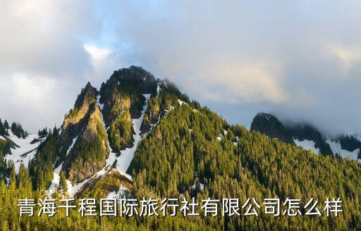青海国际旅行社有限公司招聘，旅游招聘信息