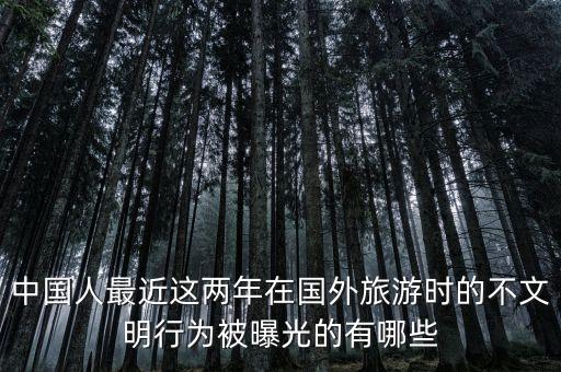 中国人最近这两年在国外旅游时的不文明行为被曝光的有哪些
