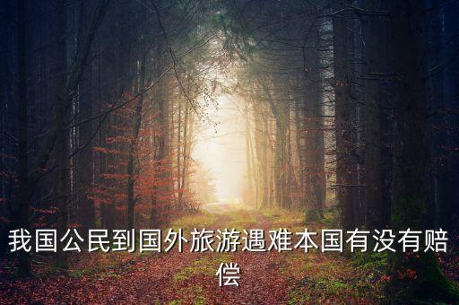 我国公民到国外旅游遇难本国有没有赔偿