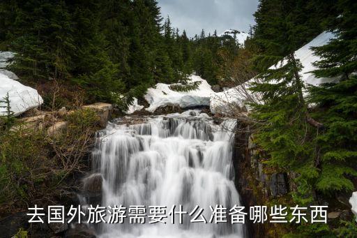 去国外旅游能带什么东西吗，去外国旅行要准备什么