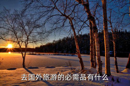 国外旅游必备哪些物品，出国旅游一般要带哪些必要的东西