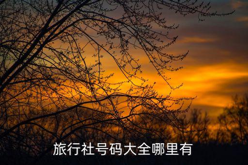 旅行社号码大全哪里有