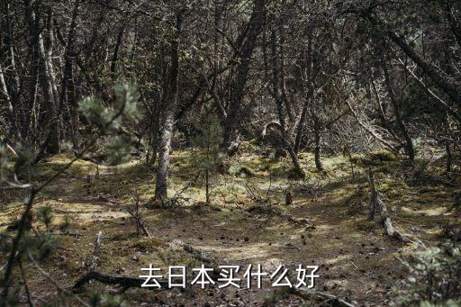 去日本买什么好