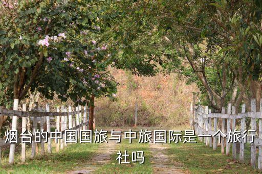 烟台的中国国旅与中旅国际是一个旅行社吗