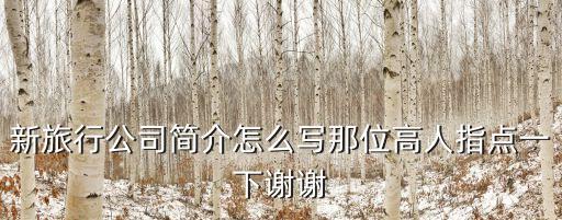 新旅行公司简介怎么写那位高人指点一下谢谢