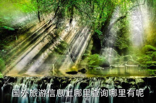 国外旅游数据在哪里查，我在写毕业论文但是不知道中国出境旅游的数据去哪儿找