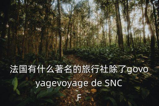 法国有什么著名的旅行社除了govoyagevoyage de SNCF