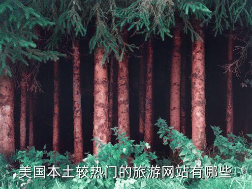 美国本土较热门的旅游网站有哪些