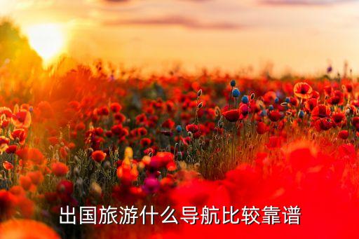 出国旅游什么导航比较靠谱