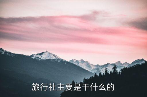 旅行社主要是干什么的