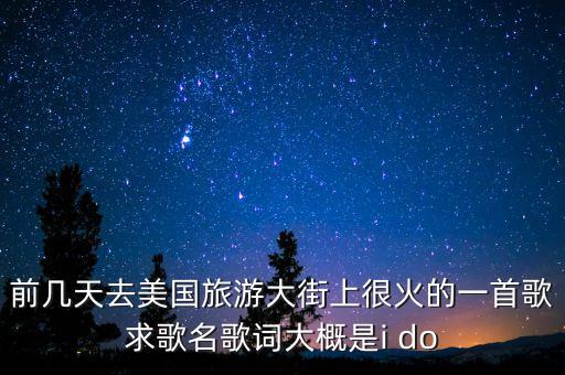 前几天去美国旅游大街上很火的一首歌求歌名歌词大概是i do
