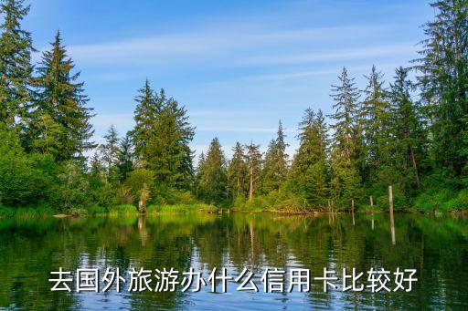 去国外旅游信用卡推荐什么，出国旅游用什么信用卡好