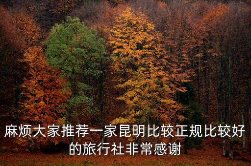 麻烦大家推荐一家昆明比较正规比较好的旅行社非常感谢