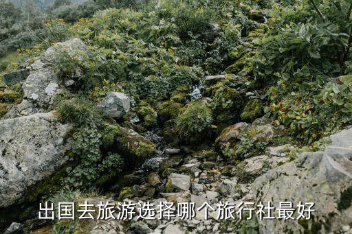 出国去旅游选择哪个旅行社最好