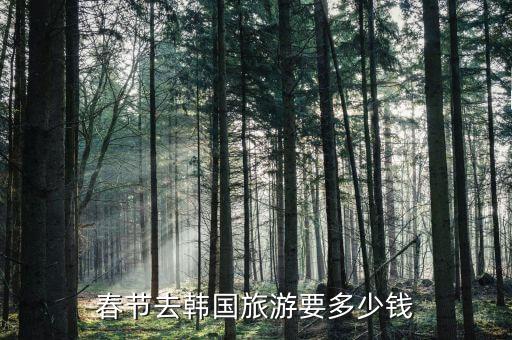 春节去韩国旅游要多少钱