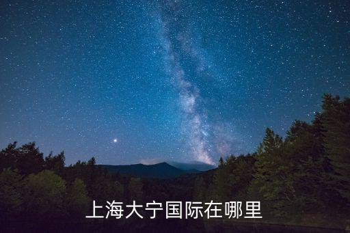 上海大宁国际在哪里