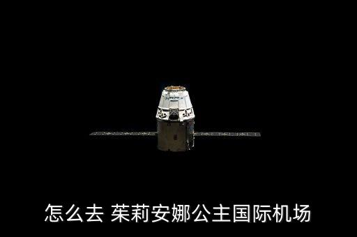 怎么去 茱莉安娜公主国际机场