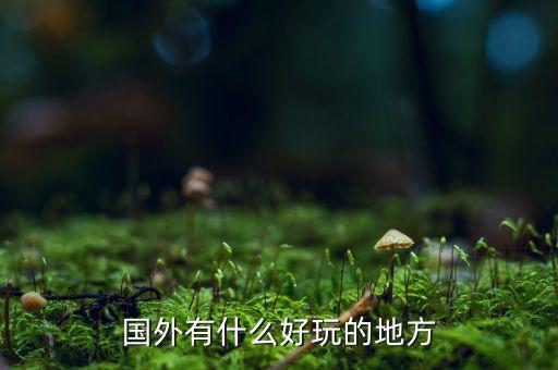 国外旅游好玩的地方在哪里，国外有甚么旅游的好地方