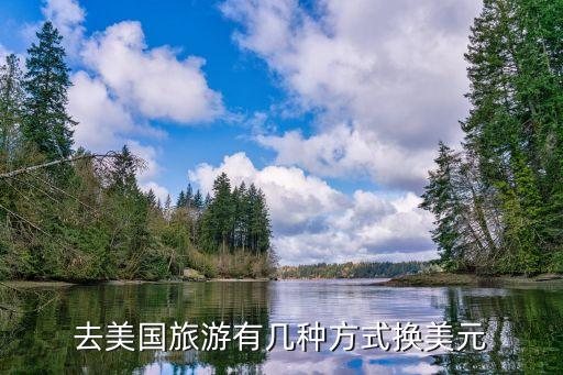 去美国旅游有几种方式换美元